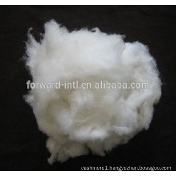 Favorite Quality Good Price Cashmere Fiber Factory Supplier